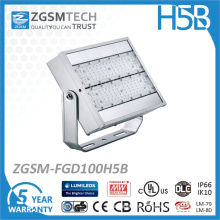 Cheap Price 100W LED Flood Light Fixture with High Quality